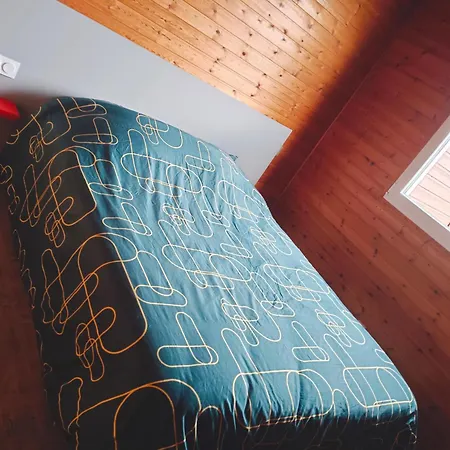 Ideal 4-8 Pers Avec Garage 20 Mn Gerardmer