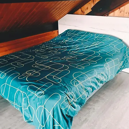 Ideal 4-8 Pers Avec Garage 20 Mn Gerardmer