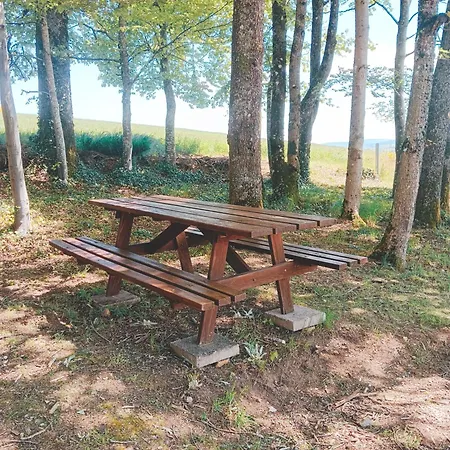 Σαλέ Ideal 4-8 Pers Avec Garage 20 Mn Gerardmer